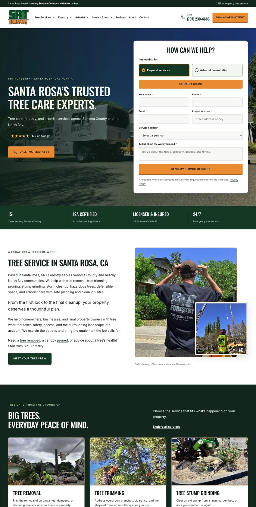 Example of a tree care & forestry website