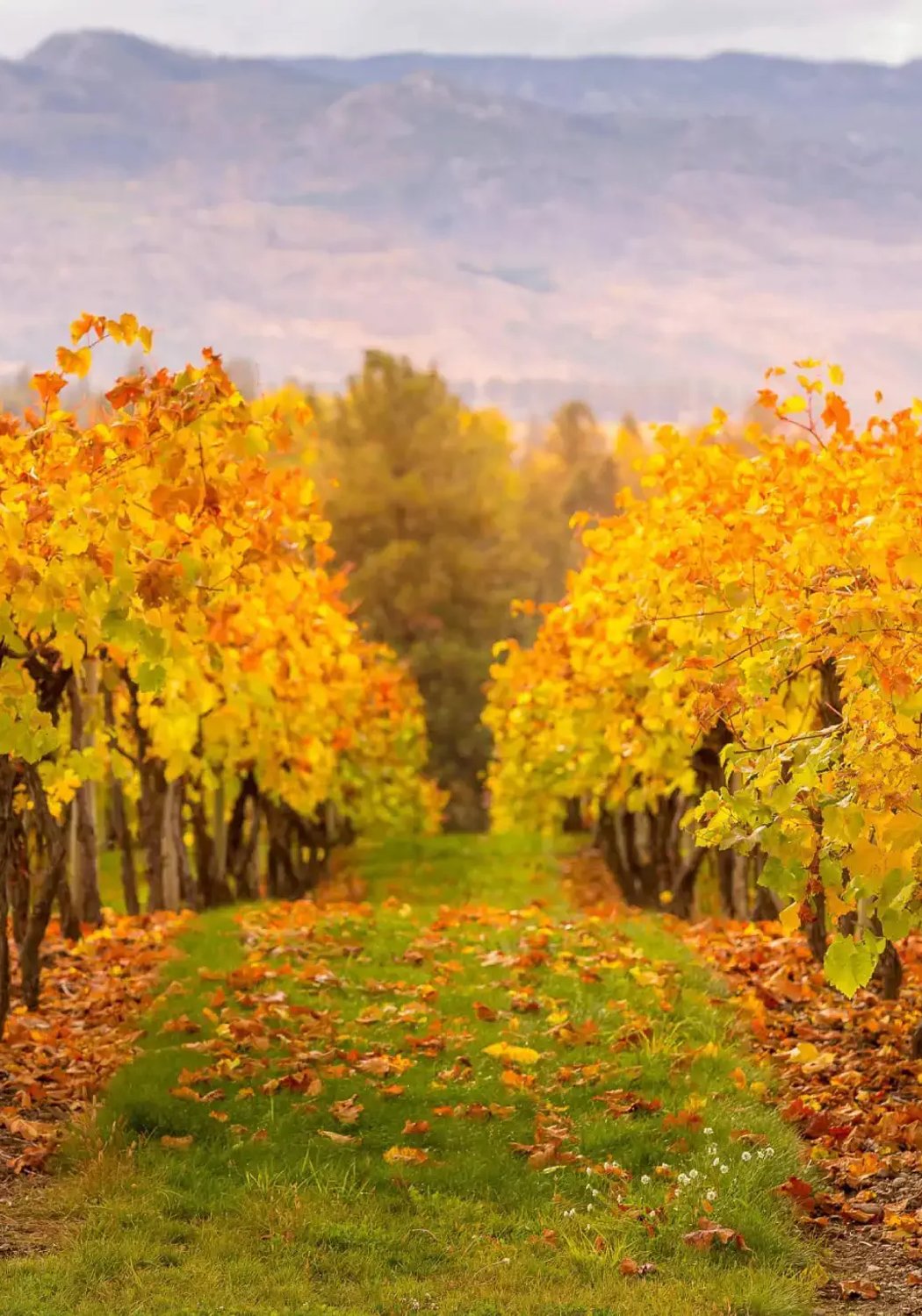Trade contractor working on a job site